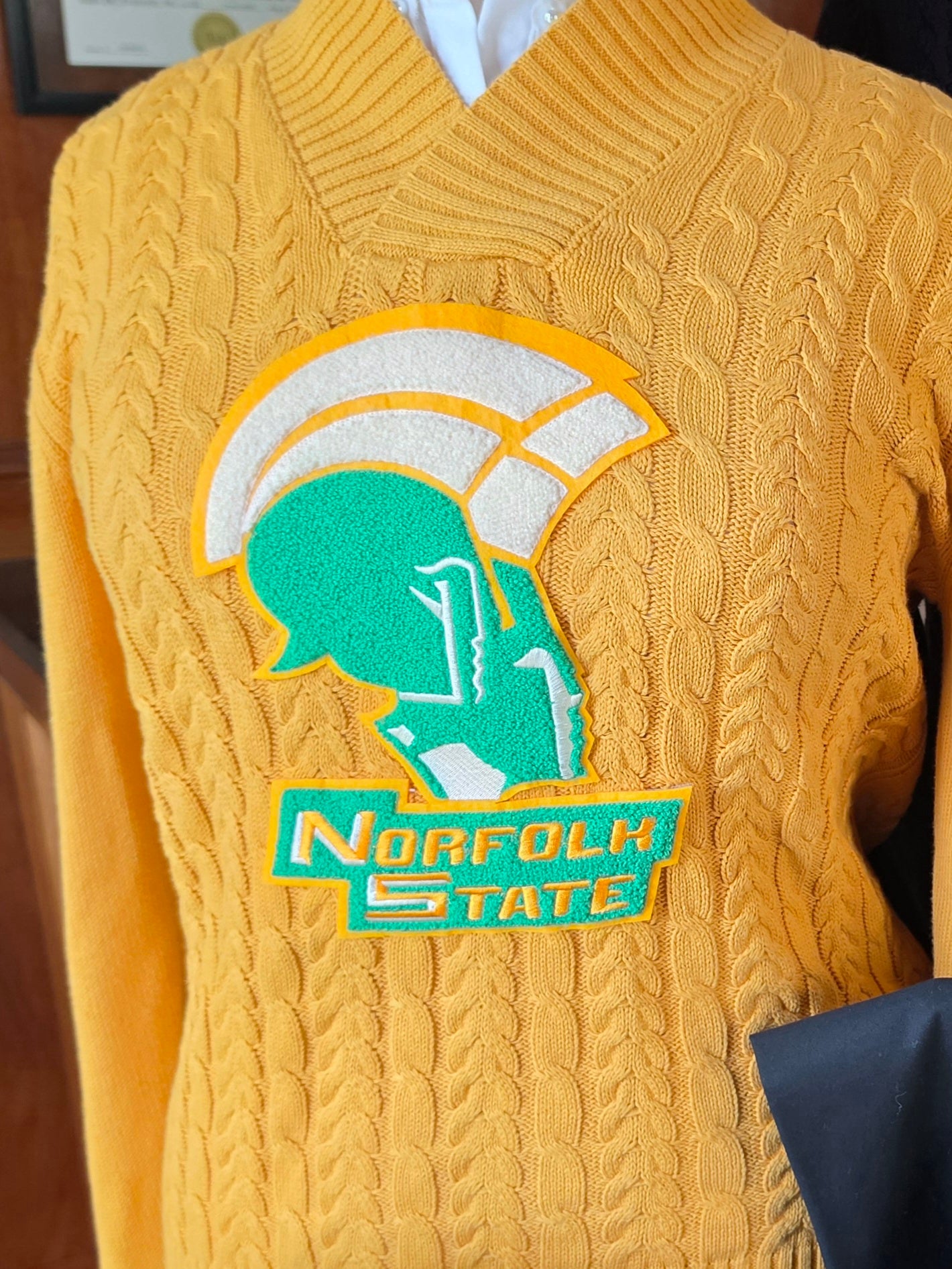 NSU Vneck (Gold or Black Spartan)