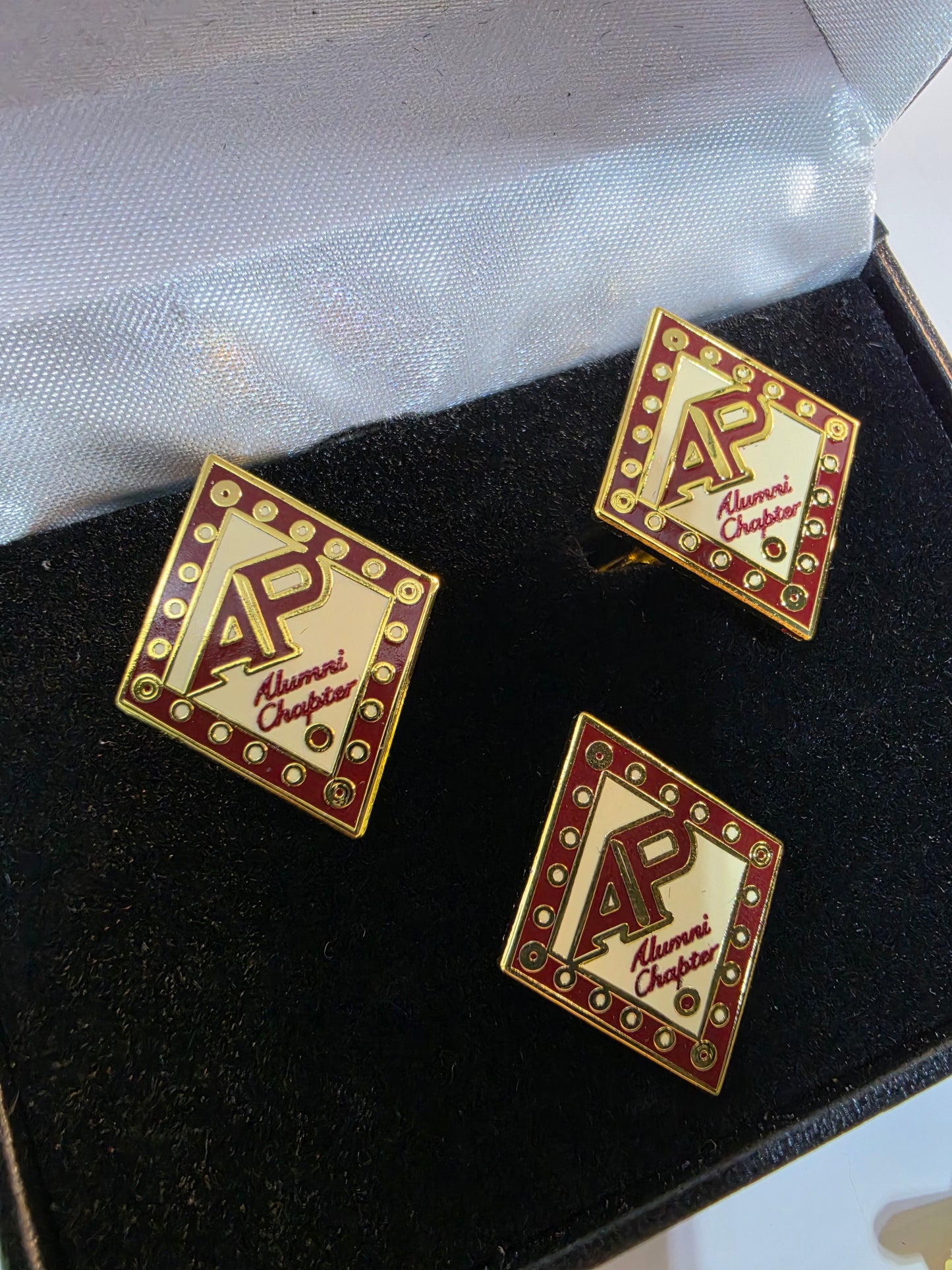 AP Cufflink and Lapel Pin Set