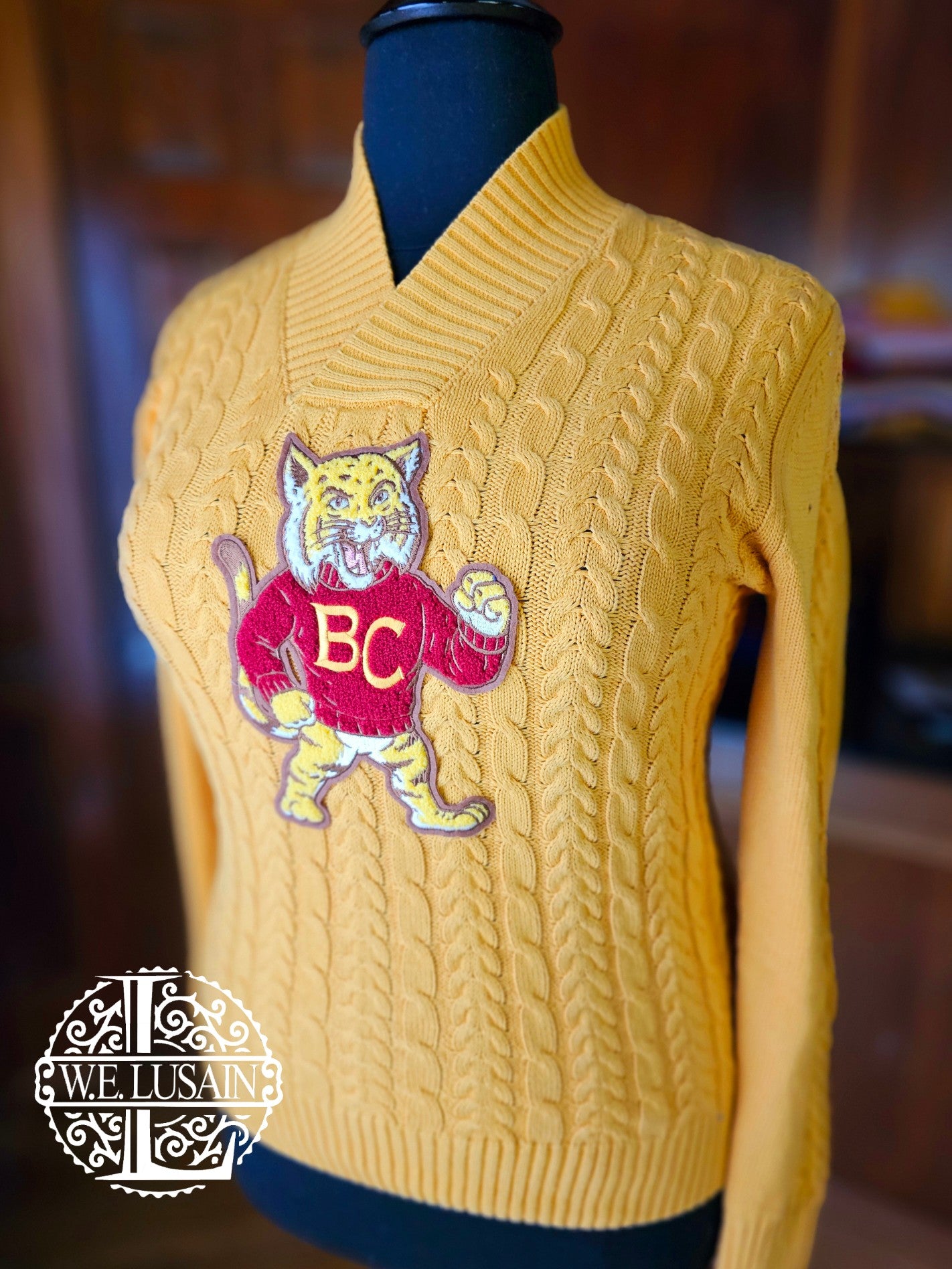 Bethune Cookman Vneck (Unisex)